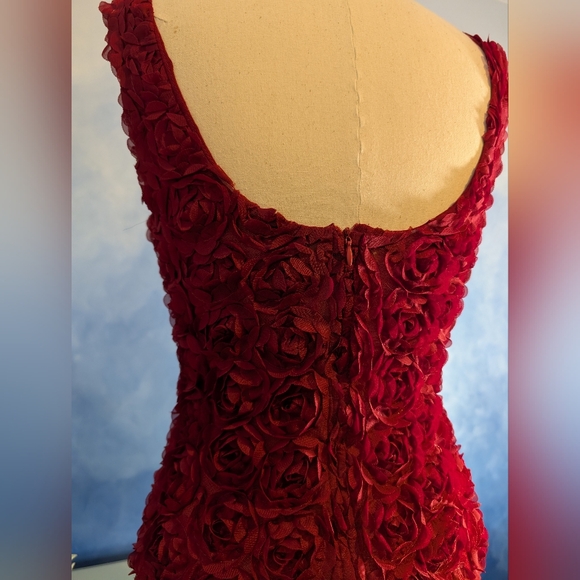 Elegant Red Rose Textured Women's Dress - Picture 3 of 6